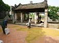 Duong Lam Ancient Village By Motorbike