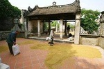 Duong Lam Ancient Village By Motorbike