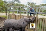 Ol Pejeta Conservancy - Day Safari