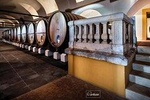 Private Wine Tour Alentejo