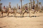 Marrakech camel ride tour