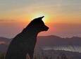 Mt Batur trekking and Hot springs