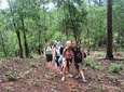 3D2N Mae Wang Jungle Trekking Adventure from Chiang Mai