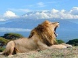 3 days Amboseli, Land of Kilimanjaro