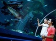 Pattaya Underwater World Admission Ticket with Return Transfer