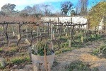 Maipu Tour (Mendoza, Mendoza, Province of Mendoza, Cuyo Tour)