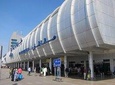 Private Pickup Transfer from Cairo Airport to Your Hotel