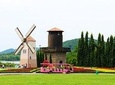 Silverlake Vineyard in Pattaya with Private Transfer