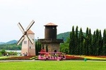 Silverlake Vineyard in Pattaya with Private Transfer