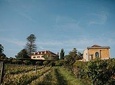 Vineyard at Mafra with Wine Tastings (30kms of Lisbon)