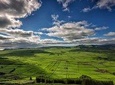 Full-Day East Side Tour in Terceira Island with Lunch