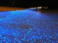 Luminous Lagoon (Glistening Waters) Tour from Falmouth