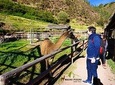 Sacred Valley of the Incas, an exclusive 1-Day Tour with Lunch.