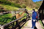 Sacred Valley of the Incas, an exclusive 1-Day Tour with Lunch.