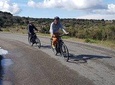 Electric bike rental - One day