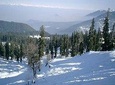 Trip to Beautiful Gulmarg from Srinagar City.