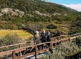 End of the World Private Shore Excursion: Tierra del Fuego National Park Half-day
