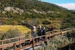 End of the World Private Shore Excursion: Tierra del Fuego National Park Half-day