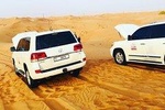 Red Dunes,camel safari, Sand Board & BBQ