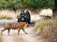 8 Days Delhi Agra Ranthambore Udaipur Jaipur Delhi Private Tour