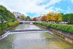 Trip to Trikala
