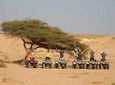 Morning Quad Bike Desert Safari Marsa Alam