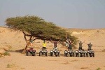Morning Quad Bike Desert Safari Marsa Alam