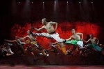 Chinese Kungfu Show
