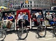 NYC Central Park Private Pedicab Sightseeing Tour, with Stops