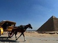Tour Giza Pyramids Sphinx Memphis and Saqqara and Camel