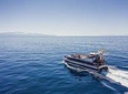 Royal Delfin - 3H Dolphin & WhaleWatching - AtlanticCruise - Drinks & Lunch