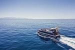 Royal Delfin - 3H Dolphin & WhaleWatching - AtlanticCruise - Drinks & Lunch