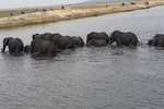 1 Night Chobe Camping Safari