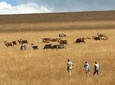 Northern Malawi Safari 7Days/6 Nights