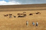 Northern Malawi Safari 7Days/6 Nights