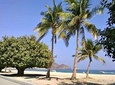 8 Hours Fujairah Private City Tour