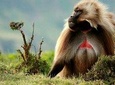 10 Days in Northern Ethiopia Tours