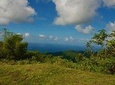 Englishman Bay and Snorkeling Adventure