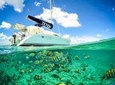 8-Hour Private 40' Catamaran 2-Stop Tour:Palancar Beach w/Food, Drinks & Snorkel