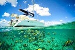 8-Hour Private 40' Catamaran 2-Stop Tour:Palancar Beach w/Food, Drinks & Snorkel