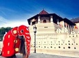 3D 2N Kandy and Sigiriya with Holiday Walkers Sri Lanka