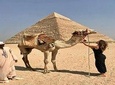 Hurghada: Full-Day Trip to Cairo by Plane
