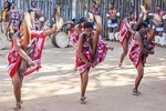 Swaziland Cultural Day Trip