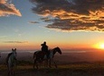 Monteverde Cloud Forest Horseback Riding