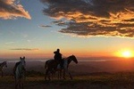 Monteverde Cloud Forest Horseback Riding
