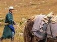 2 days horse trek in Naiman nuur and the central part of Mongolia 8 days