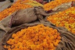 Visit Fresh Flower & Vegetable Market in the Pink City of Jaipur