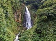 1D Tour to Cingjing Farm from Taichung 