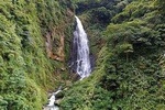 1D Tour to Cingjing Farm from Taichung 
