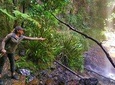 Private Tour - Rainforest & Waterfalls Extravaganza